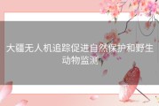 大疆无人机追踪促进自然保护和野生动物监测