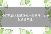 小胖机器人融资评级一路攀升，引发投资界关注！