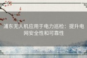 浦东无人机应用于电力巡检：提升电网安全性和可靠性