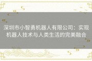 深圳市小智勇机器人有限公司：实现机器人技术与人类生活的完美融合