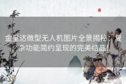 金星达微型无人机图片全景揭秘：复杂功能简约呈现的完美结晶！