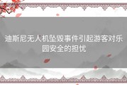 迪斯尼无人机坠毁事件引起游客对乐园安全的担忧