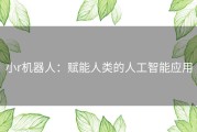 小r机器人：赋能人类的人工智能应用