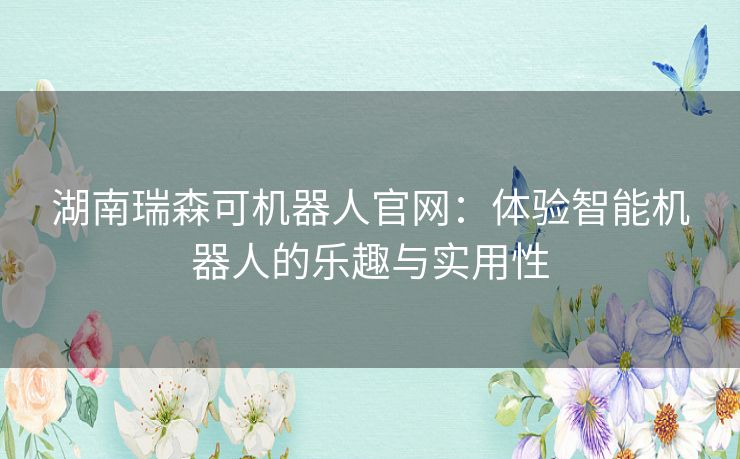 湖南瑞森可机器人官网：体验智能机器人的乐趣与实用性