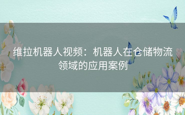 维拉机器人视频：机器人在仓储物流领域的应用案例