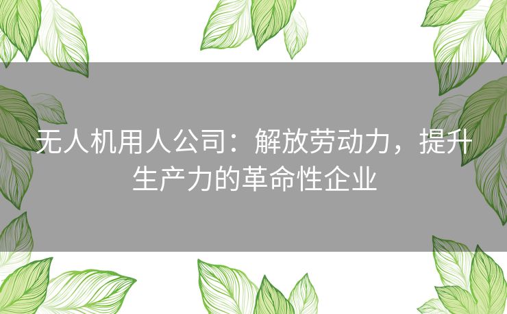 无人机用人公司：解放劳动力，提升生产力的革命性企业