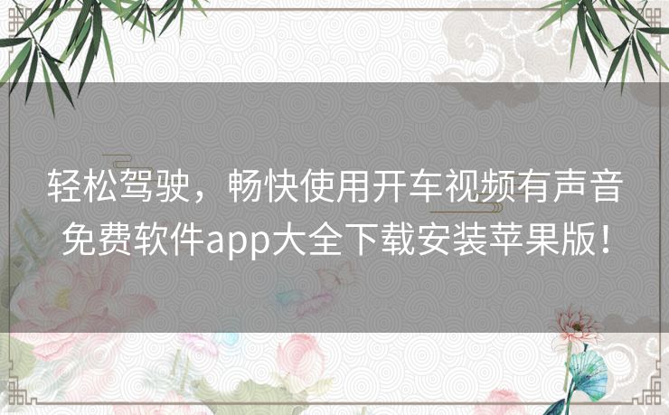 轻松驾驶，畅快使用开车视频有声音免费软件app大全下载安装苹果版！