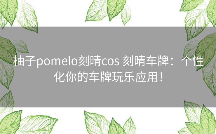 柚子pomelo刻晴cos 刻晴车牌：个性化你的车牌玩乐应用！