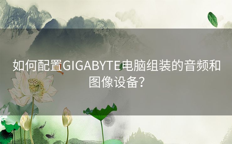 如何配置GIGABYTE电脑组装的音频和图像设备？