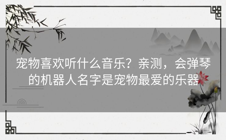 宠物喜欢听什么音乐？亲测，会弹琴的机器人名字是宠物最爱的乐器