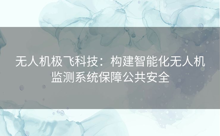 无人机极飞科技：构建智能化无人机监测系统保障公共安全