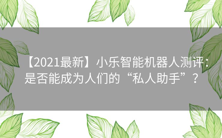 【2021最新】小乐智能机器人测评：是否能成为人们的“私人助手”？