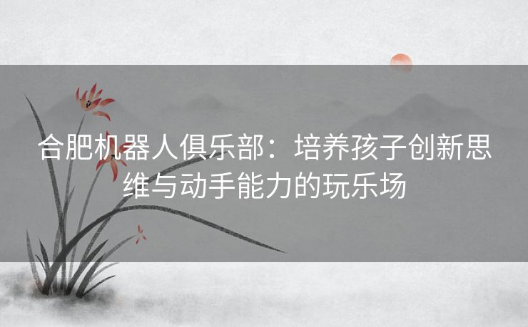 合肥机器人俱乐部：培养孩子创新思维与动手能力的玩乐场