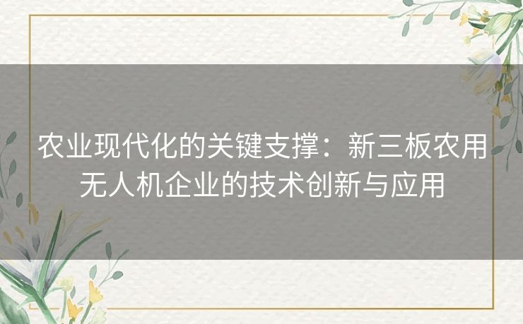 农业现代化的关键支撑：新三板农用无人机企业的技术创新与应用