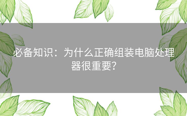 必备知识：为什么正确组装电脑处理器很重要？