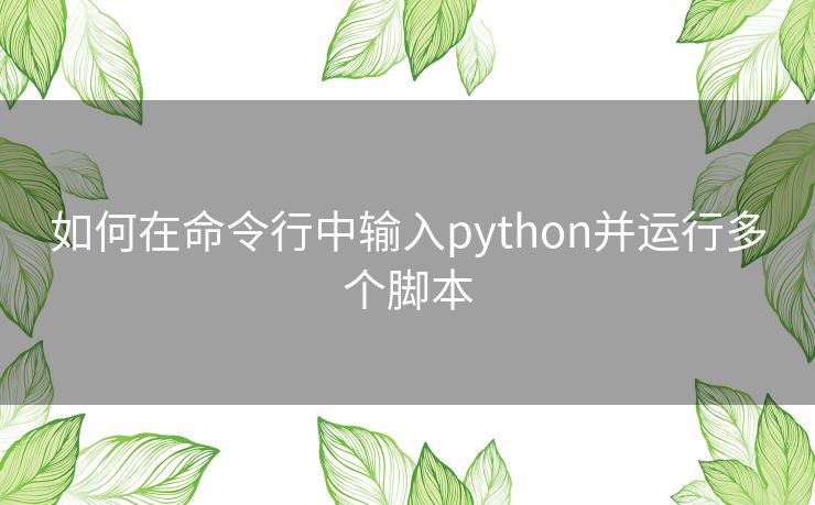 如何在命令行中输入python并运行多个脚本