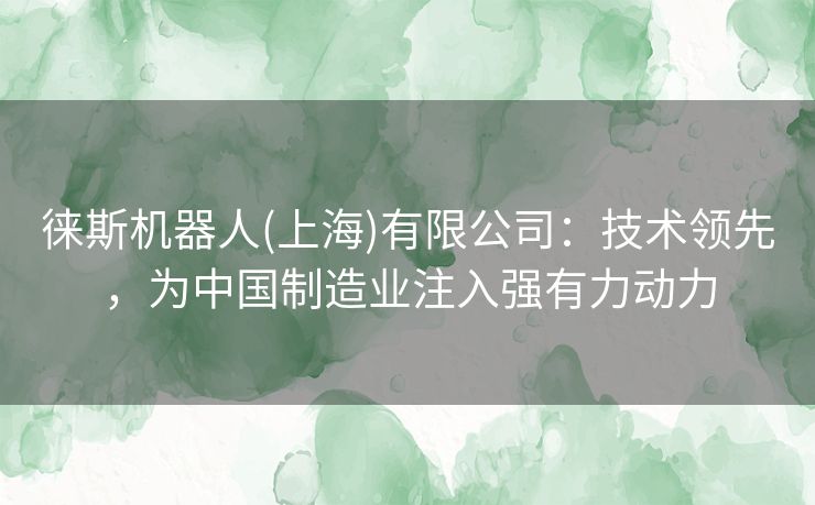 徕斯机器人(上海)有限公司：技术领先，为中国制造业注入强有力动力