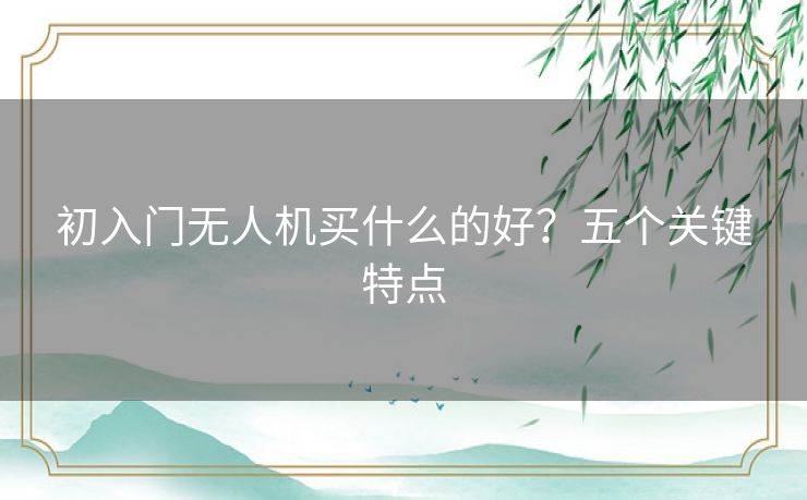 初入门无人机买什么的好？五个关键特点