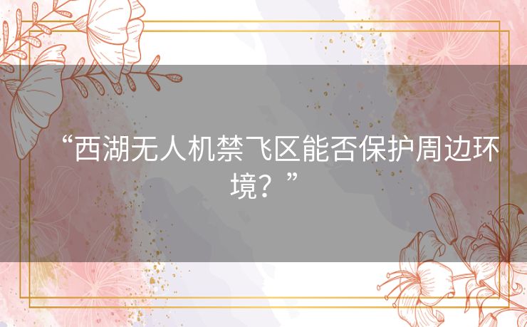 “西湖无人机禁飞区能否保护周边环境？”