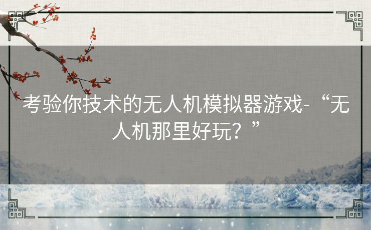 考验你技术的无人机模拟器游戏-“无人机那里好玩？”