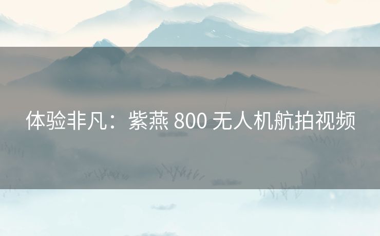 体验非凡：紫燕 800 无人机航拍视频