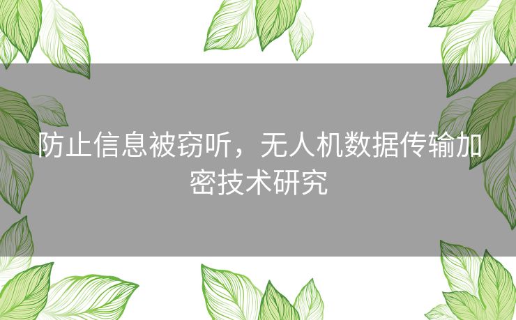 防止信息被窃听，无人机数据传输加密技术研究