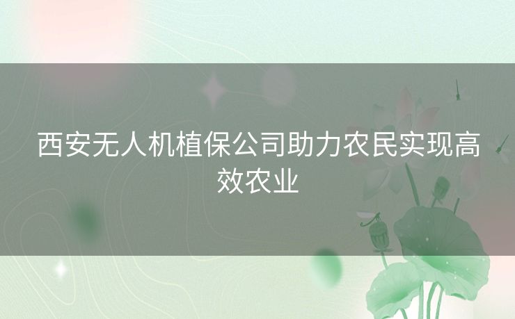 西安无人机植保公司助力农民实现高效农业