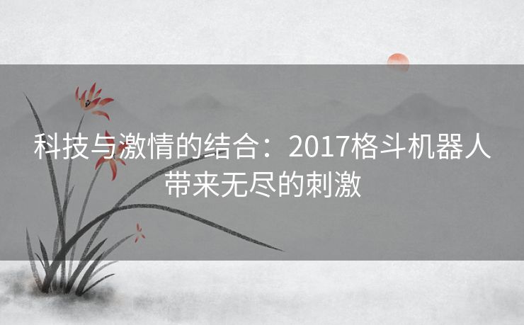 科技与激情的结合：2017格斗机器人带来无尽的刺激