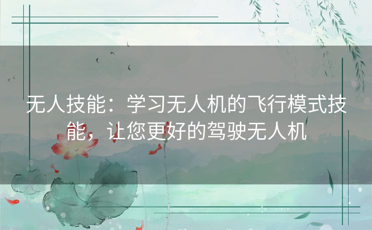 无人技能：学习无人机的飞行模式技能，让您更好的驾驶无人机