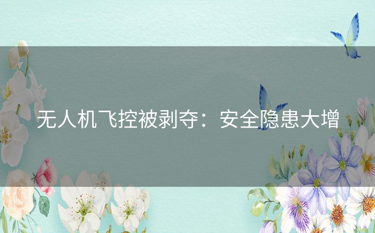 无人机飞控被剥夺：安全隐患大增