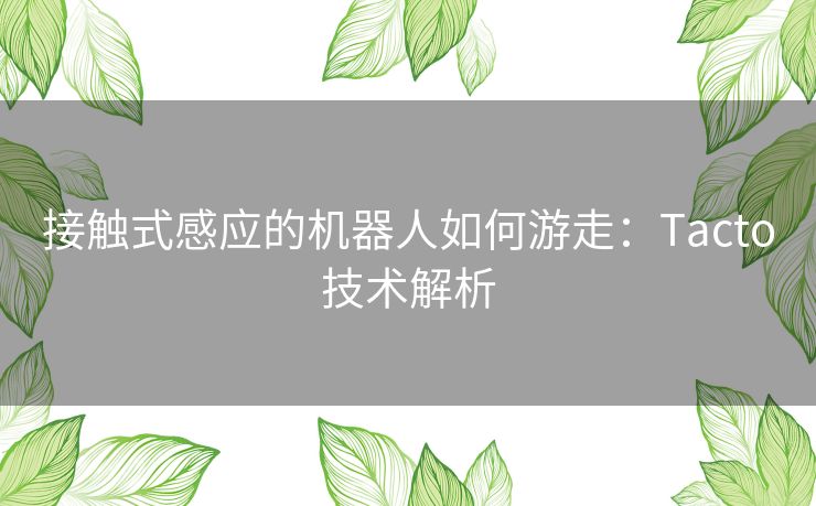 接触式感应的机器人如何游走：Tacto技术解析