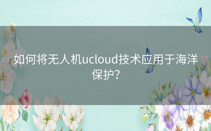 如何将无人机ucloud技术应用于海洋保护？