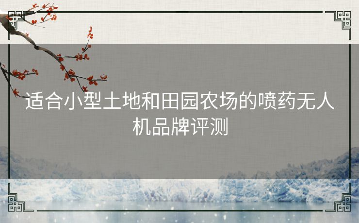 适合小型土地和田园农场的喷药无人机品牌评测