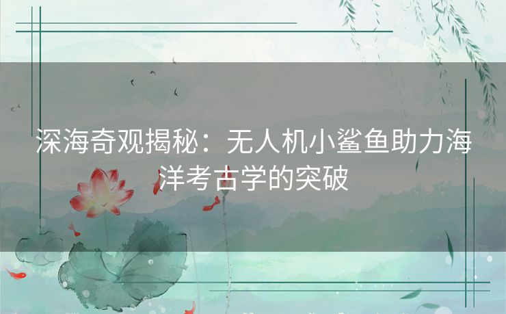 深海奇观揭秘：无人机小鲨鱼助力海洋考古学的突破