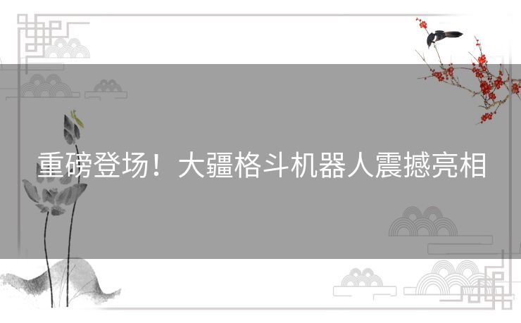 重磅登场！大疆格斗机器人震撼亮相