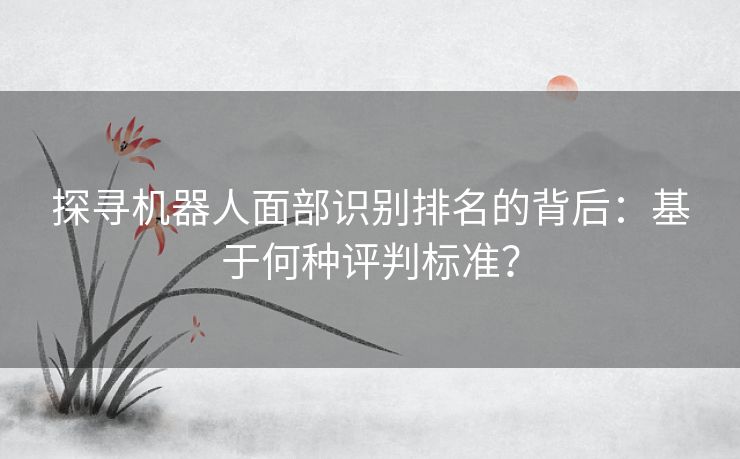 探寻机器人面部识别排名的背后：基于何种评判标准？