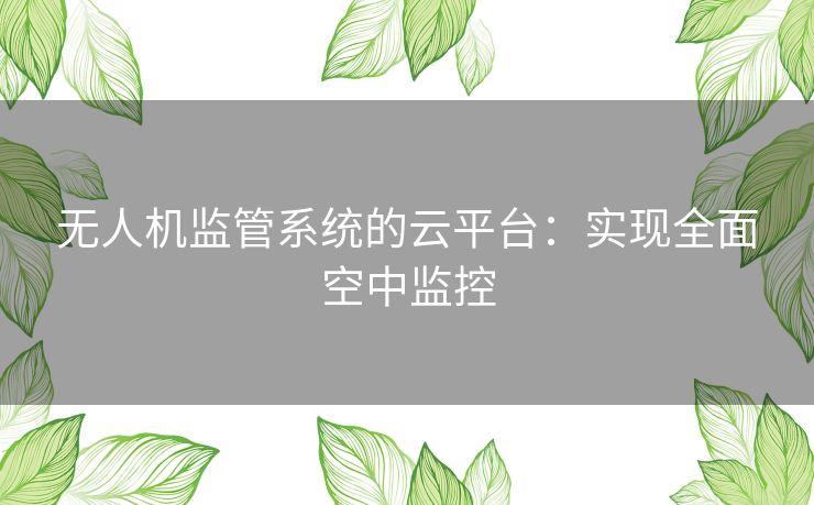 无人机监管系统的云平台：实现全面空中监控