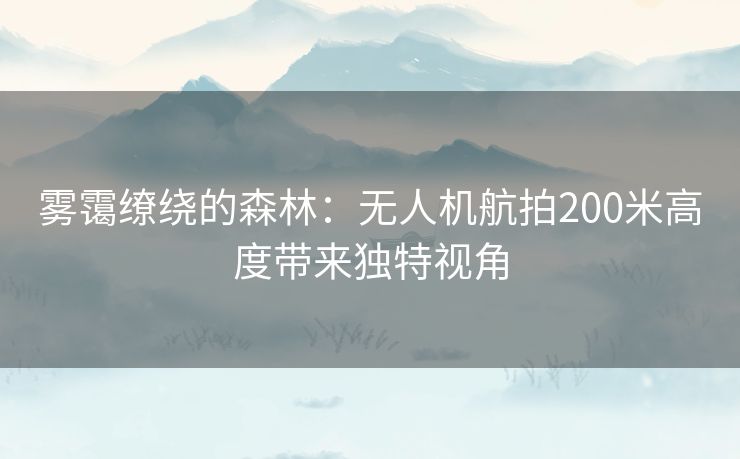 雾霭缭绕的森林：无人机航拍200米高度带来独特视角