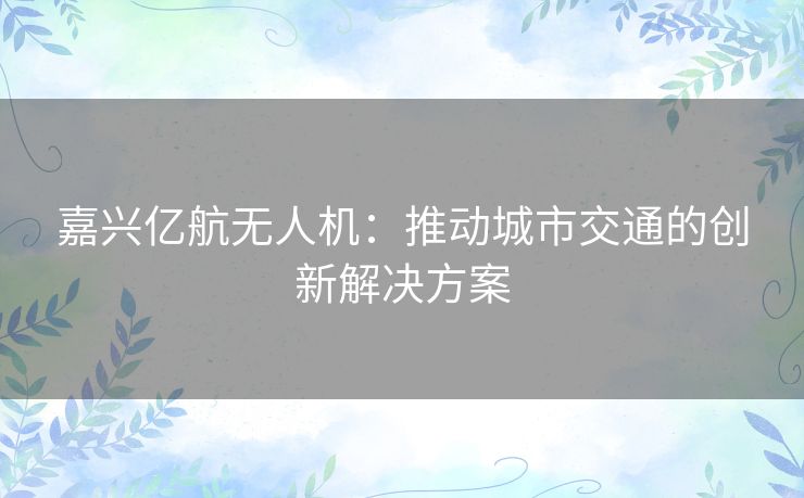 嘉兴亿航无人机：推动城市交通的创新解决方案