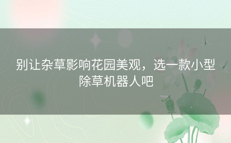 别让杂草影响花园美观，选一款小型除草机器人吧