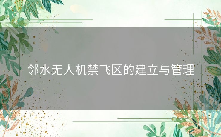 邻水无人机禁飞区的建立与管理