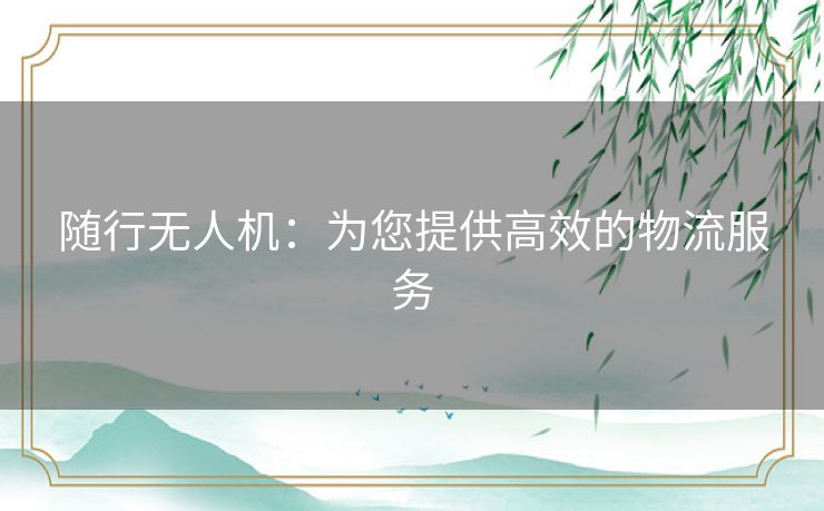 随行无人机：为您提供高效的物流服务