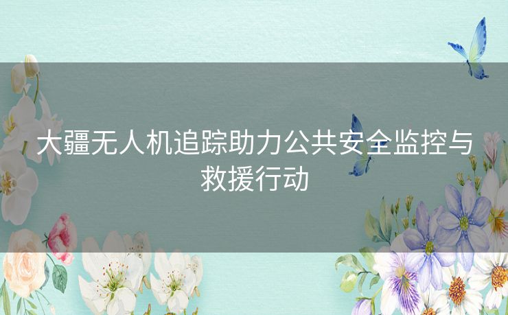 大疆无人机追踪助力公共安全监控与救援行动