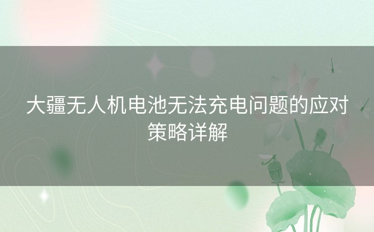 大疆无人机电池无法充电问题的应对策略详解