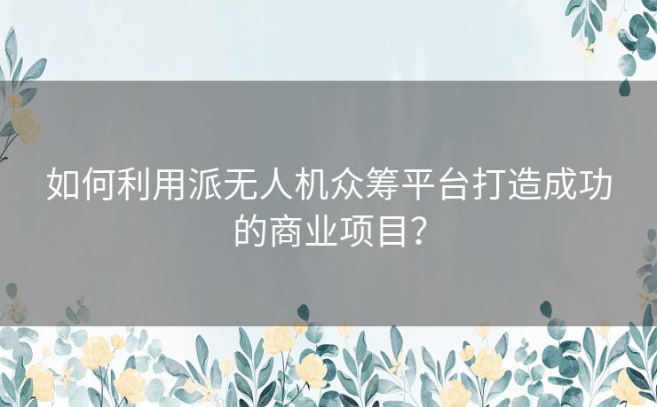 如何利用派无人机众筹平台打造成功的商业项目？