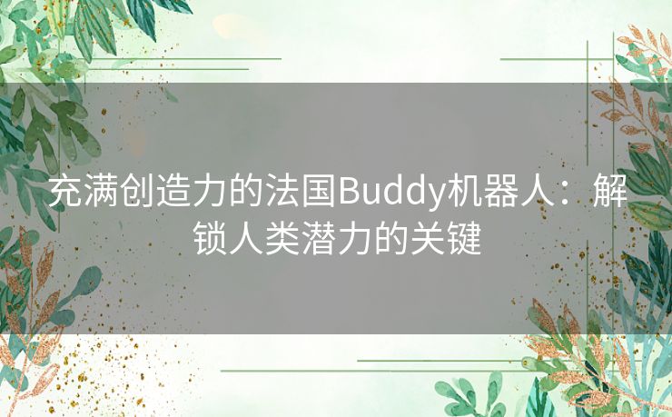 充满创造力的法国Buddy机器人：解锁人类潜力的关键