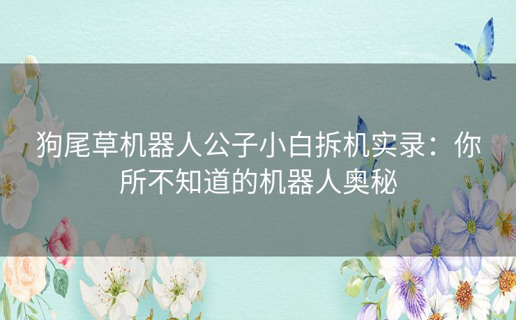 狗尾草机器人公子小白拆机实录：你所不知道的机器人奥秘