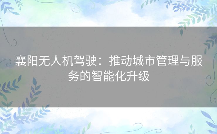 襄阳无人机驾驶：推动城市管理与服务的智能化升级