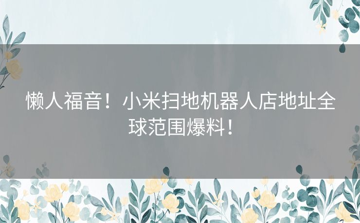 懒人福音！小米扫地机器人店地址全球范围爆料！