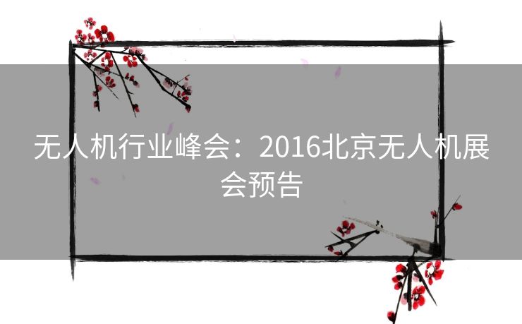 无人机行业峰会：2016北京无人机展会预告